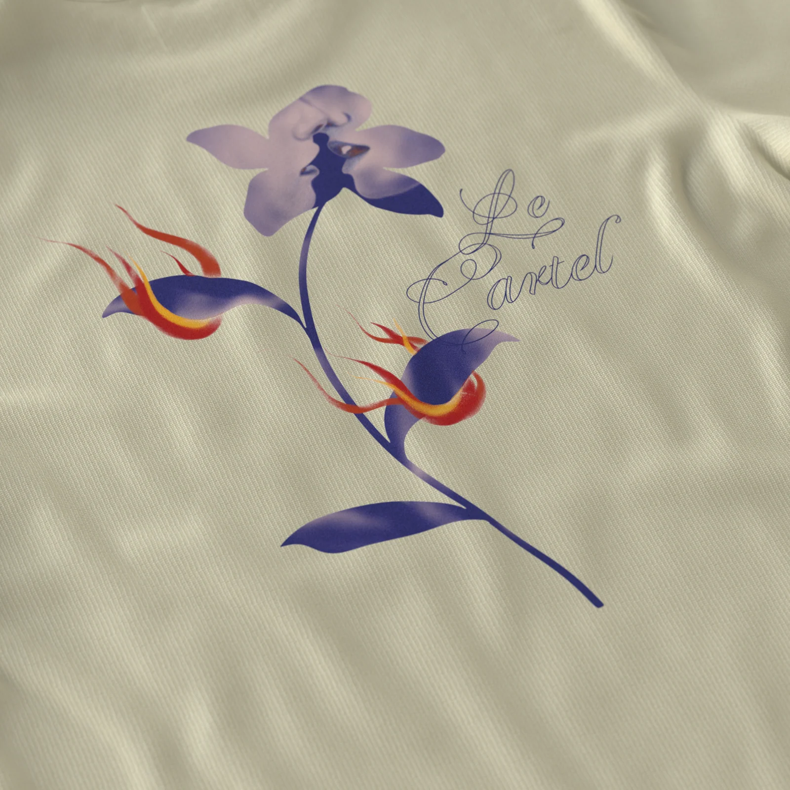 Image du produit 5